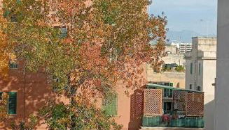 a Roma da Fabiola - Foto 5