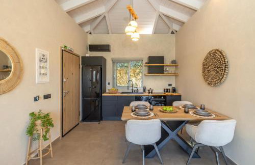 XTC Villas Kefalonia - Villa X - Foto 44