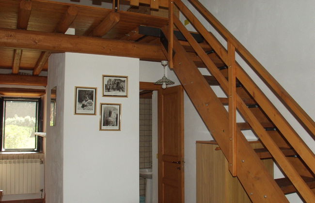 Codavolpe Giardino di Tea - Foto 16