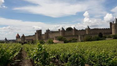 Domaine Fontgrande Gîte - Photo 4