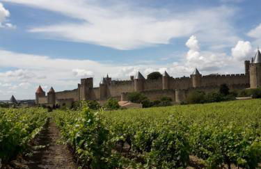 Domaine Fontgrande Gîte - Photo 4