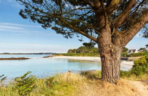 Maison spacieuse avec spa , sauna au pays des Abers ,10 min des plages Bretagne - Foto 27