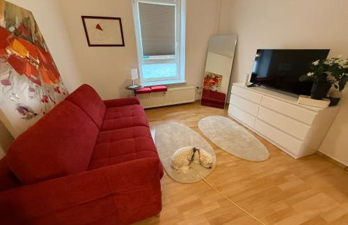 1 Zi Whg an der Universität zu Kiel-Alsenstrasse 17, perfekt als Schadenwohnung, eigener Parkplatz, große Wohnküche, Wlan, gemütlich möbliert, je 3 Min zur Universitätsklinik, Ostsee, Seebäder, City, Luxusfähren - Foto 7