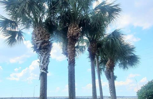 Breathtaking Waterview Condo! - Foto 49