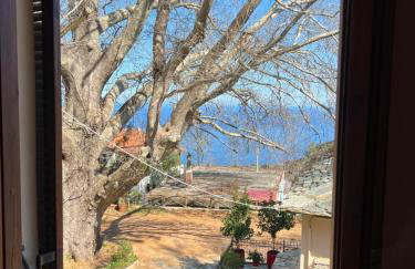 Sweet Home Kerasias - Foto 18