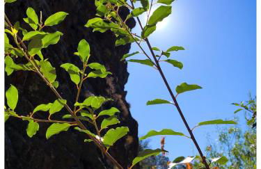 Casa Vinte & Cinco - Alojamento Local - Foto 85