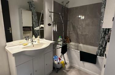 Les Dômes du Parc 4e App T3 et T1 proche de toutes commodités - Foto 8