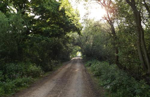 The Mill House on the Brooks South Downs West Sussex Sleeps 15 - Foto 19