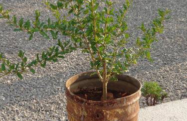 Countryside house Rusulica - Photo 46