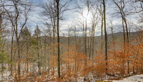 Near Okemo and Killington Home with Sauna and Fireplace - Foto 2