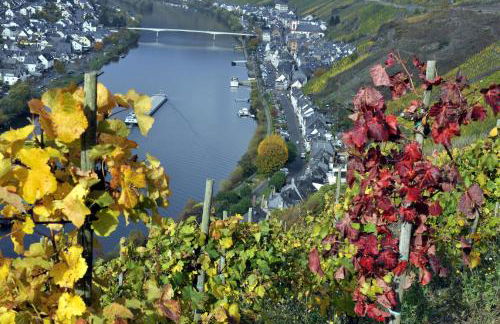 Haus Brandenburg an der Mosel - Foto 15