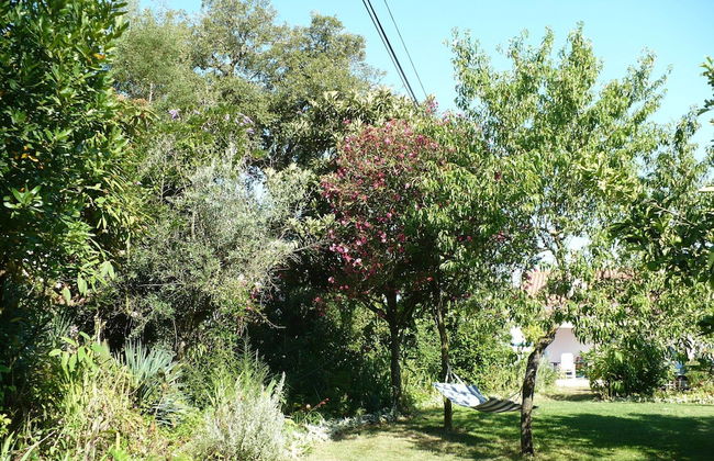 Quinta Retreat With Pool and Olive Grove - Foto 27