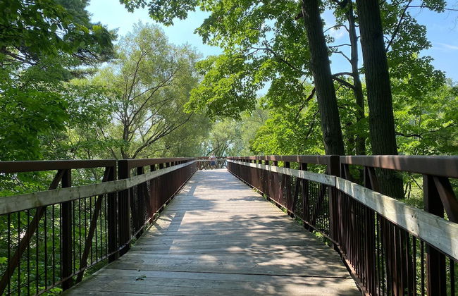Brand New Basement Apt next to Beach & Go Train - Foto 20