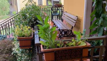 Casa Capoleto - Foto 3