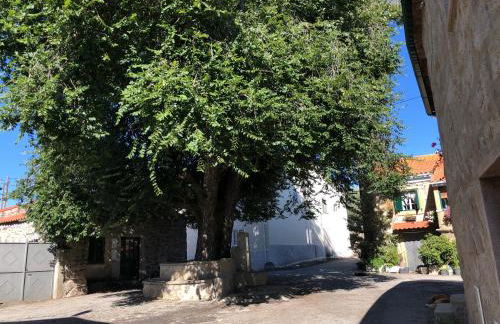 Casa do Pardal - Foto 21