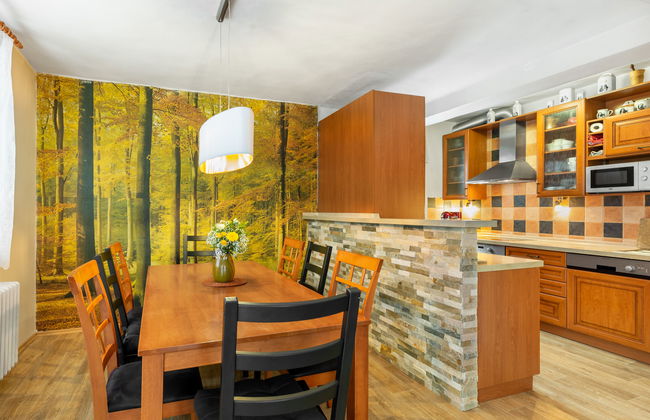 Desná v Jizerských horách - Foto 11