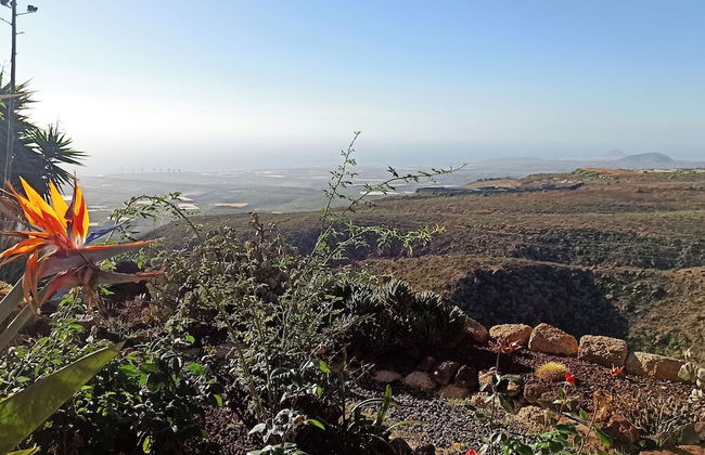 Finca Aurora - Cozy 1-bed Apartment - Foto 14