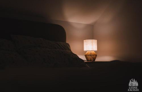 Leśne Zacisze - dom na wsi z grotą solną, sauną oraz balią ogrodową - Foto 11