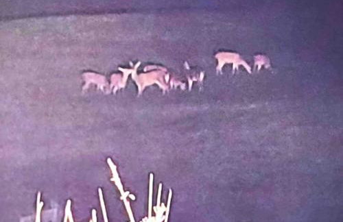 Appartement cosy rénové au calme - Foto 15