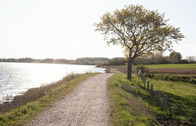 Liefde Voor de Schlei - Photo 15