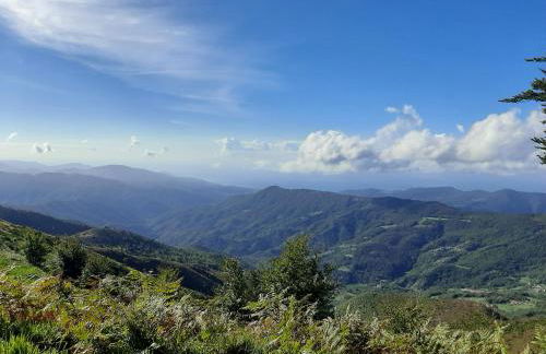 La casa di Amelia - Foto 47