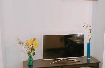 Vien mequé - Photo 22