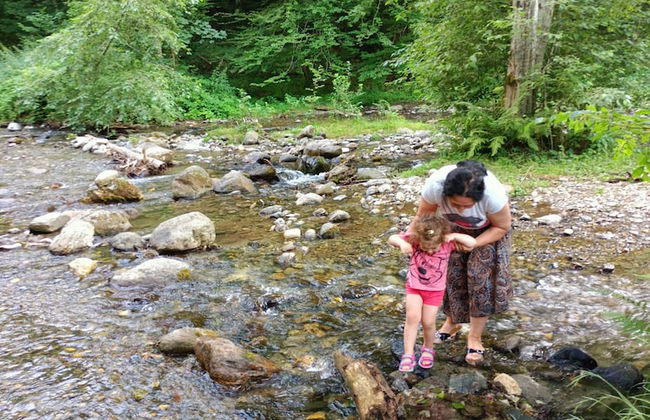 ART House Transylvania Sibiu - Foto 21