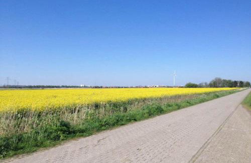 Holiday home with 3 bedrooms - Foto 24