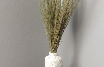 Relax & Explore Downtown Little Rock - Foto 32