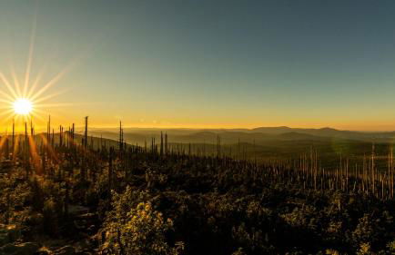 Ferienhaus im Bayerischen Wald - "Lindensalettl" mit Garten und Terrasse - Foto 45