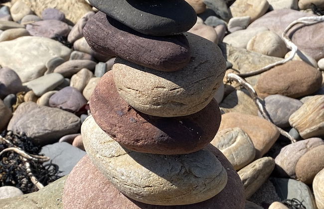 The Crail Maltings - Foto 28