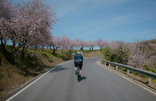 Las Terrazas del Jardin Nazari B41 - Foto 65