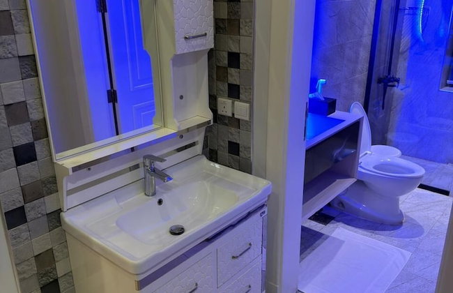 Dana Serviced Apartments2 - Photo 78