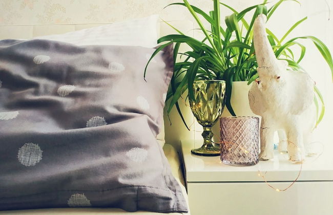 MalinaApt Pink Olive - Foto 16