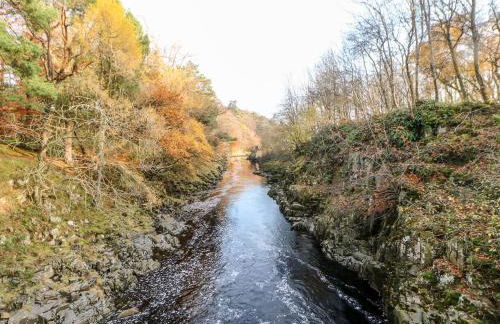 Badgers Sett - Foto 51