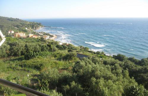 Areti Studios - Foto 57