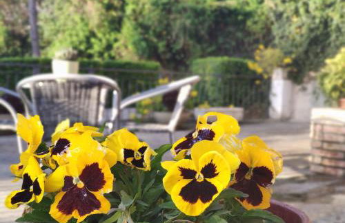 El racó del Puig - Foto 8