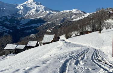 CHALET CONFIDENTIEL VALMOREL - Chalet de Haut de Gamme 4 étoiles 12 personnes - Foto 12