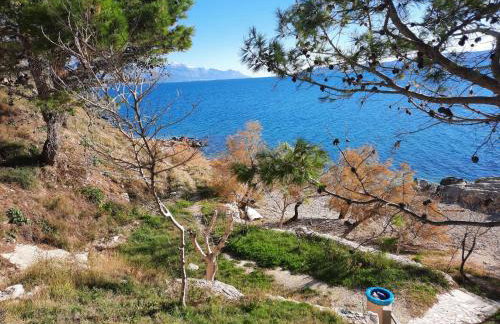 Apartments Rose - Foto 33