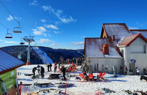 Notre Renardière, Gîtes à Saulxures-sur-Moselotte, Hautes-Vosges - Foto 50