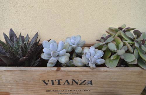 La Casetta tra Chianti e Firenze - Foto 14