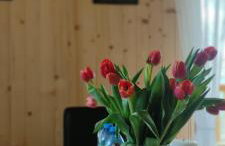 Relaksówka - Photo 41