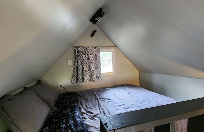 Bear Necessities Cottages - Foto 25