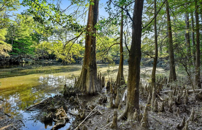 Whiskey on the River - Foto 20