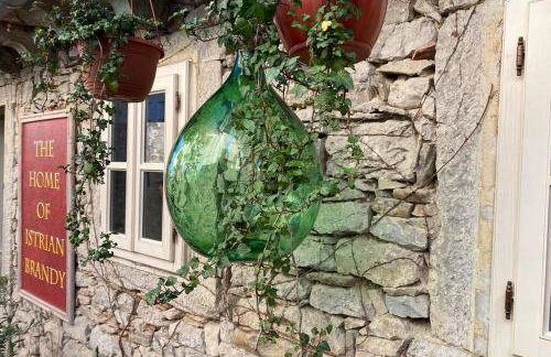 Villa Stanzietta Novigrad for 10 at Olive orchard - Foto 73