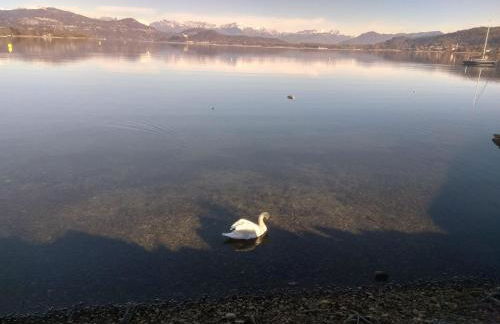 Sweet Home - Foto 35