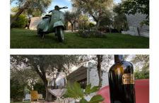 Mia glass house Elite Villas & Exclusive Suites - Foto 4