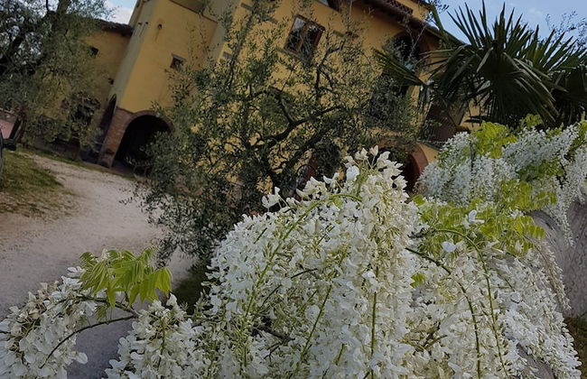 Agriturismo Il Poderaccio - Photo 51