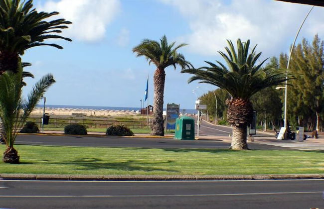 Palm Garden Apartments - Photo 39