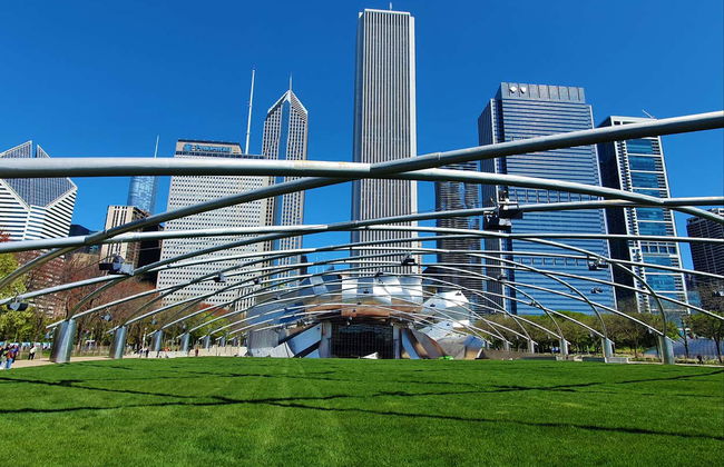 Free Walking Tour of Chicago - Foto 5